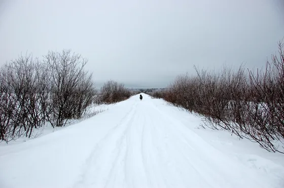 Nature Walk