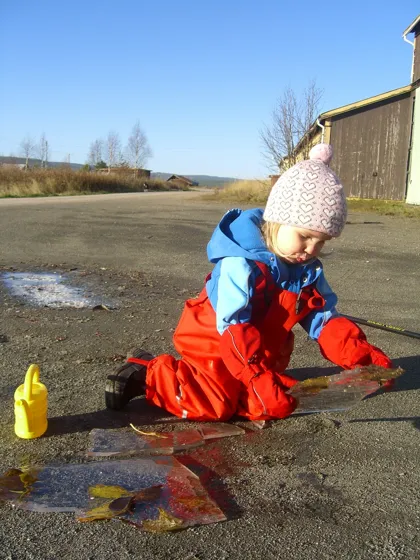 Window Washing
