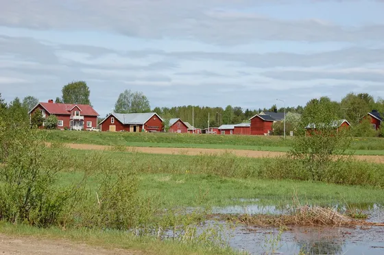 Juoksengi Homes