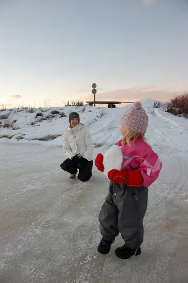 Don't Eat the YELLOW Snow!