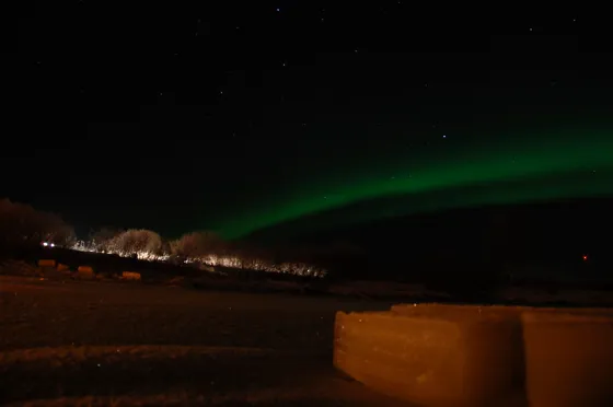 Northern Lights