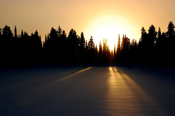 Morning Sun