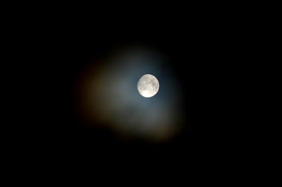 Winter Moon