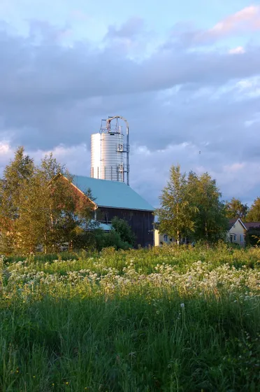 Sunlit Silo