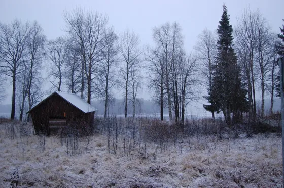 Early Snow