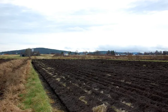Out in the Field