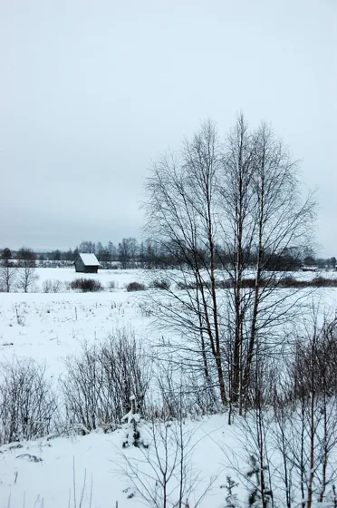 A photograph from our family diary