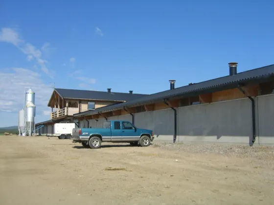 2006 382