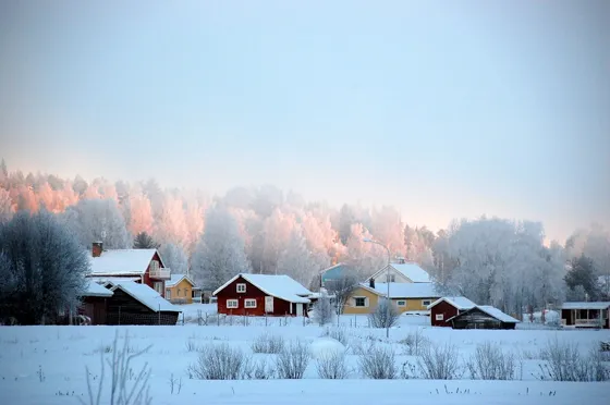 Good Morning Sweden