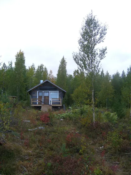The Perfect Cabin