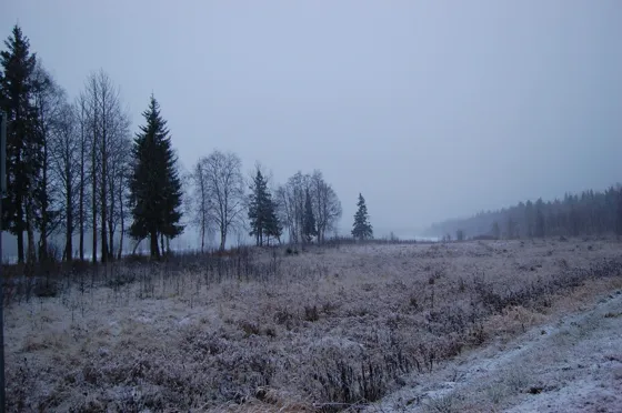 Starting to get COLD