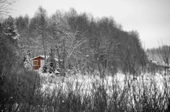 Summer Cabin Closed