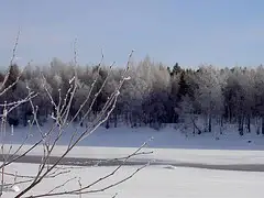 Lots of Snow