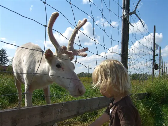 2006 894
