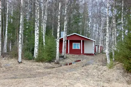 A red cottage among the birch trees at Kukkolaforsen