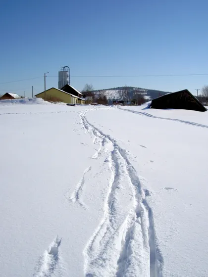 A Beautiful Day to Ski