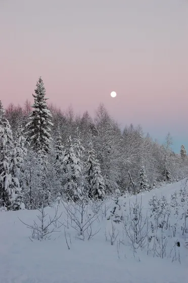 Moon Rising over Sweden