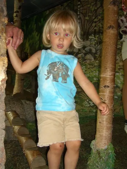 Junibacken Forrest