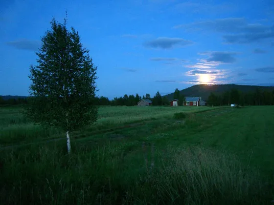 Moonrise