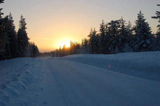 Morning Sun
