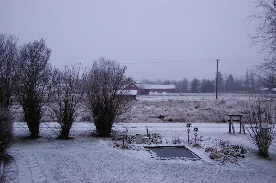 Snowy Afternoon