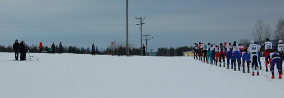 DSC_2580