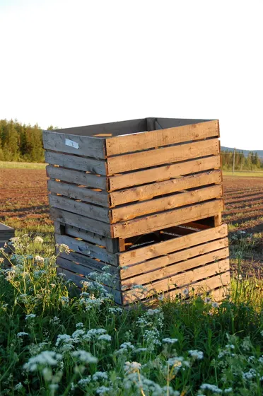 Potato Crates