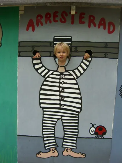 2006 699