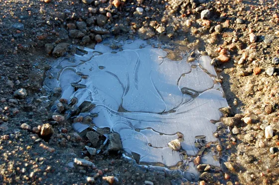 Frozen Puddle