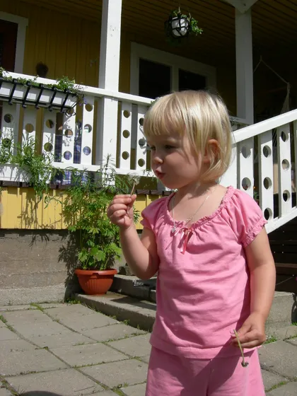 A photograph from our family diary