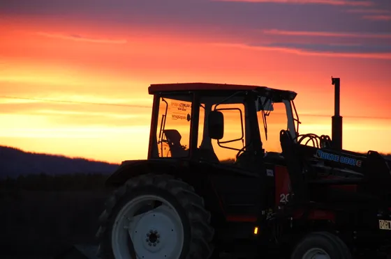 Farmer's View of the Midnight Sun