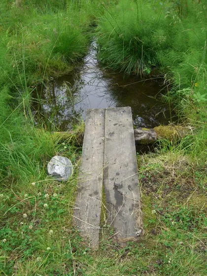 Fresh Spring Water