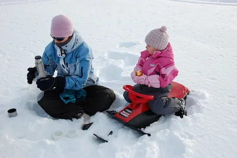 Snow Picnic