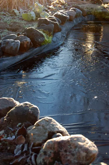 Frozen Pond