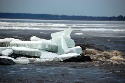 Ice floes in the spring sunshine