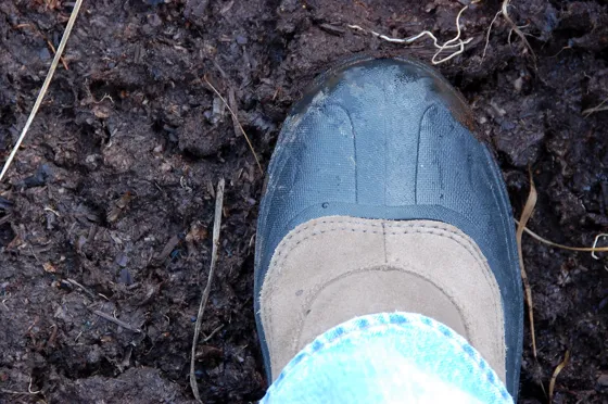 My Boot