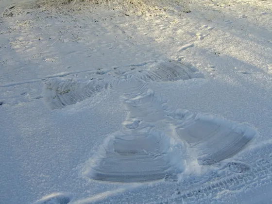Snow Angel