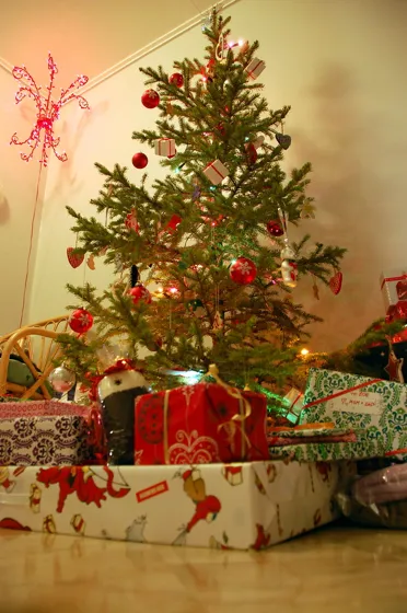 Our Tree