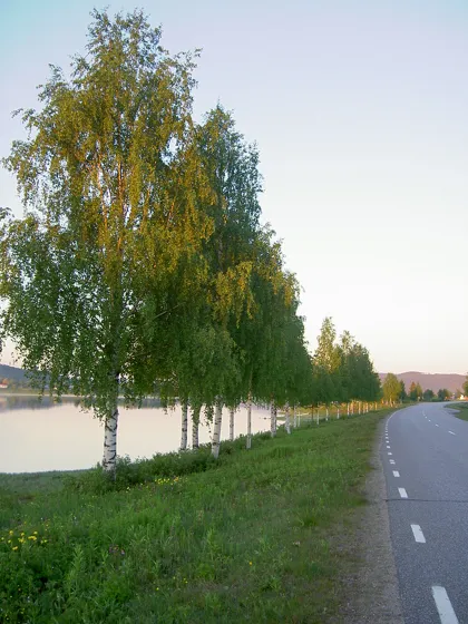 Sweden-2004 312