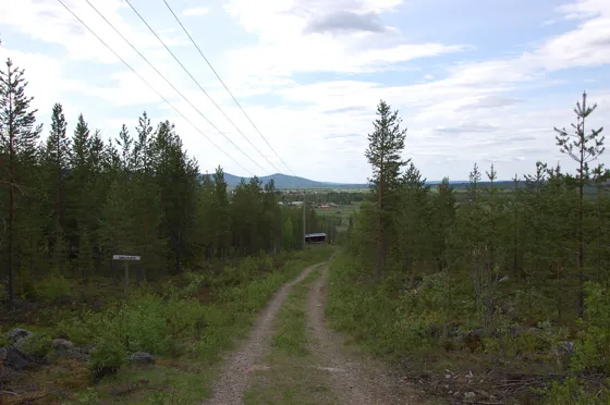 The Road Back to Town