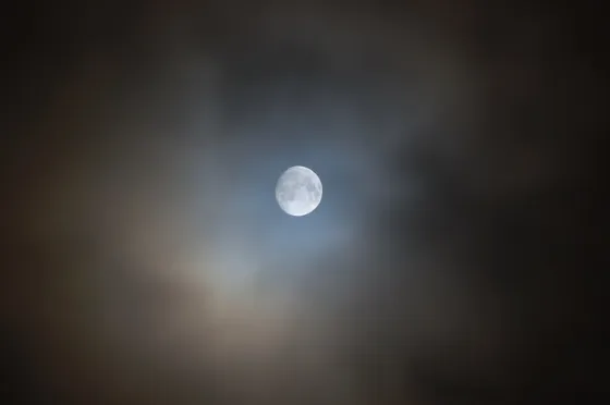 Winter Moon