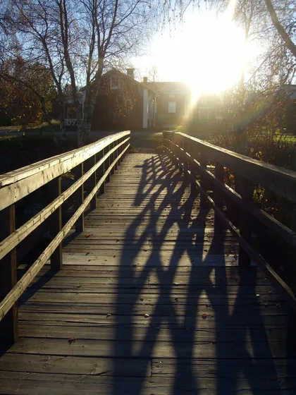 Come to the Light...