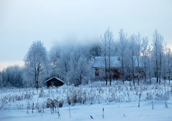 A Cold and Frosty Morning