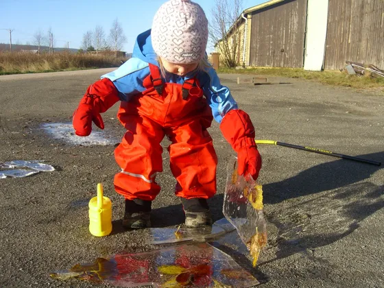 Window Washing