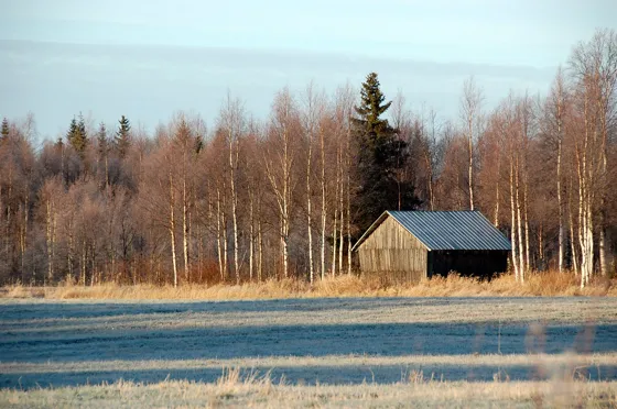 DSC_0276