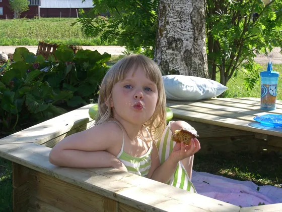 A photograph from our family diary