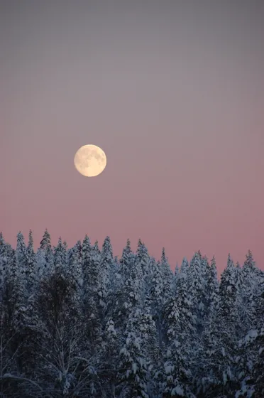 Full Winter Moon
