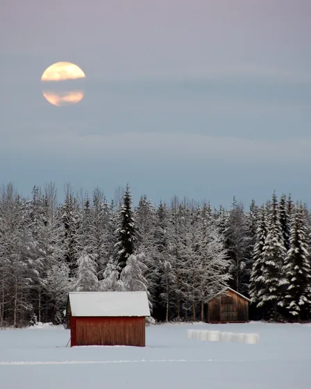 The Moon