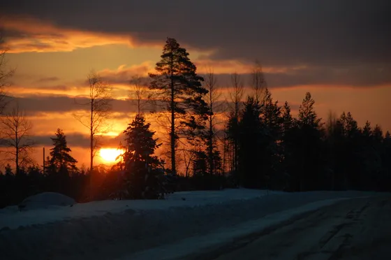 Sunrise