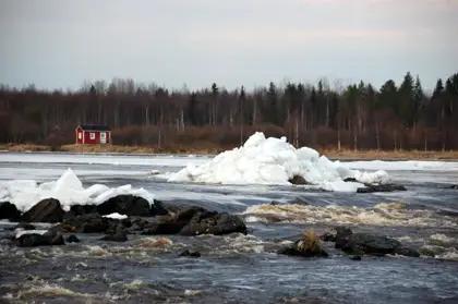 Kukkolaforsen in the spring thaw